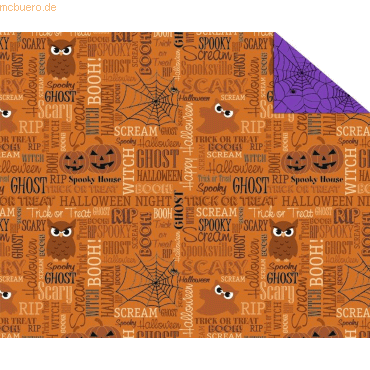 4008525181385 - 10 x Fotokarton Halloween 300 g qm 495x68cm Motiv 03