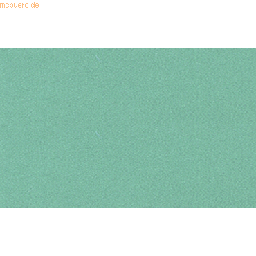 4008525215493 - Glanzkarton 250g qm A4 VE=25 Bogen metallic-grün 4008525215493 - Glanzkarton 250g qm A4 VE=25 Bogen metallic-grün