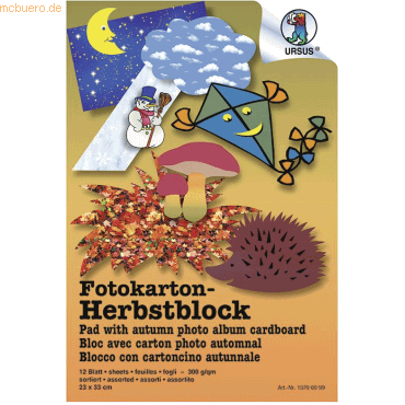 4008525193449 - 10 x Fotokarton Herbst Block 23x33cm VE=12 Blatt sortiert 4008525193449 - 10 x Fotokarton Herbst Block 23x33cm VE=12 Blatt sortiert