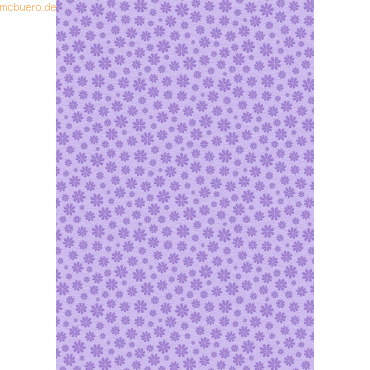 4008525233930 - 10 x Fotokarton Deluxe 300g qm 48x67cm Gänseblümchen