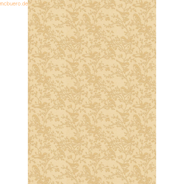 4008525233992 - 10 x Fotokarton Deluxe 300g qm 48x67cm Vöglein