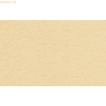 4008525705697 - Tonpapier 130g qm A4 VE=100 Blatt apricose