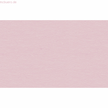 4008525209881 - Tonpapier 130g qm A4 VE=100 Blatt altrosa