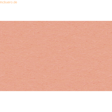 4008525209911 - Tonpapier 130g qm A4 VE=100 Blatt koralle