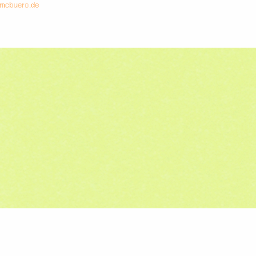 4008525715023 - Tonpapier 130g qm A4 VE=100 Blatt apfelgrün