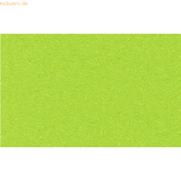 4008525705826 - Tonpapier 130g qm A4 VE=100 Blatt tropicgrün