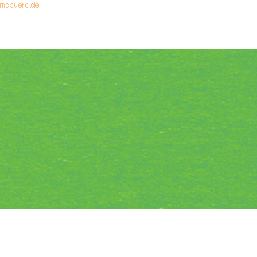 4008525706007 - Tonpapier 130g qm A4 VE=100 Blatt grasgrün