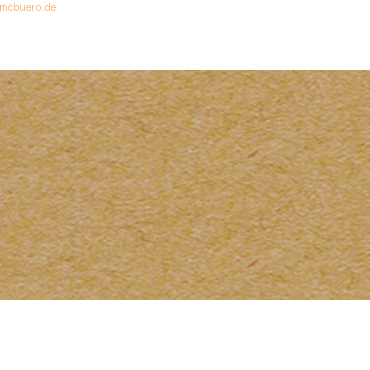 4008525705888 - Tonpapier 130g qm A4 VE=100 Blatt hellbraun