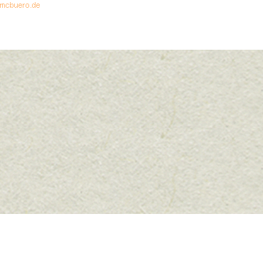 4008525705925 - Tonpapier 130g qm A4 VE=100 Blatt hellgrau