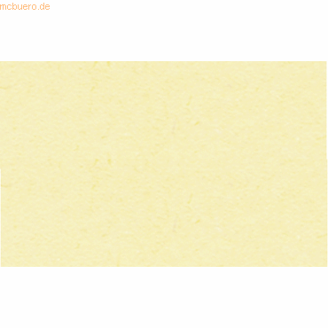 4008525713241 - 25 x Tonpapier 130g qm 70x100cm vanille
