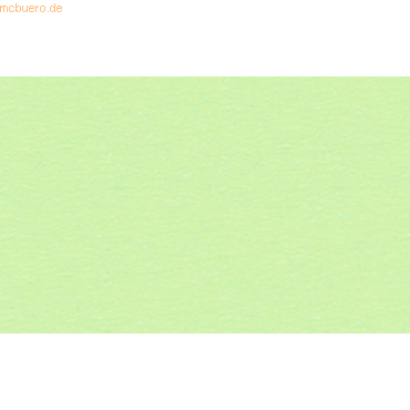 4008525210115 - 25 x Tonpapier 130g qm 70x100cm mint