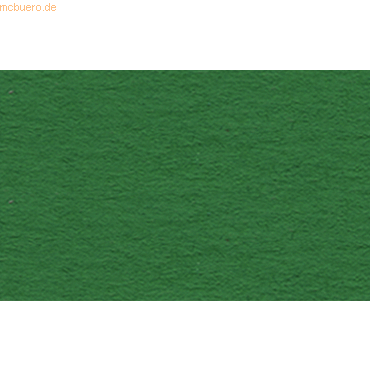 4008525713449 - 25 x Tonpapier 130g qm 70x100cm dunkelgrün