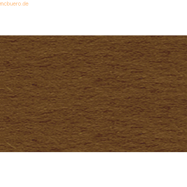 4008525713494 - 25 x Tonpapier 130g qm 70x100cm mittelbraun