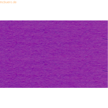 4008525728580 - 25 x Tonpapier 130g qm 50x70cm aubergine 4008525728580 - 25 x Tonpapier 130g qm 50x70cm aubergine