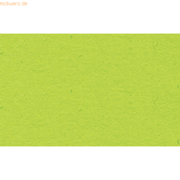 4008525709831 - Tonpapier 2232251 130g 50 x 70cm hellgrün 4008525709831 10 Blatt 4008525709831 - Tonpapier 2232251 130g 50 x 70cm hellgrün 4008525709831 10 Blatt