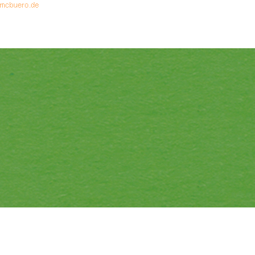 4008525709855 - 10 x Tonpapier 130g qm 50x70cm lindgrün