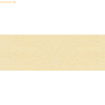 4008525192039 - 5 x Fotokarton gelocht 232x297cm VE=10 Blatt chamois