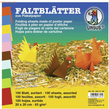 4008525173014 - Faltblätter Intensiv 20x20cm VE=100 Blatt 10 Farben sortie