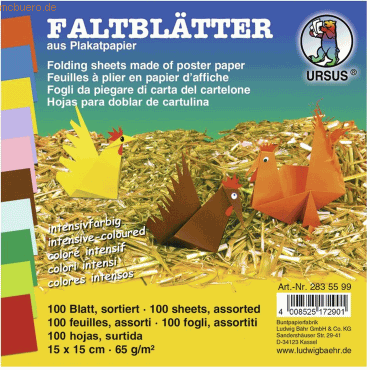 4008525172901 - Faltblätter Intensiv 15x15cm VE=100 Blatt 10 Farben sortie