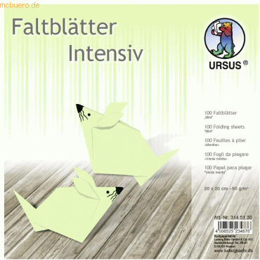 4008525234876 - Faltblätter Intensiv Uni 20x20cm VE=100 Blatt mint