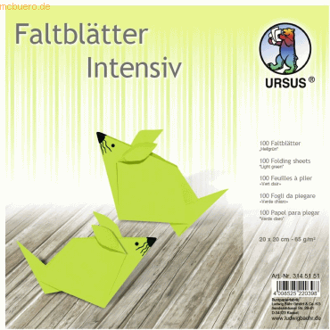 4008525220398 - Faltblätter Intensiv Uni 20x20cm VE=100 Blatt hellgrün