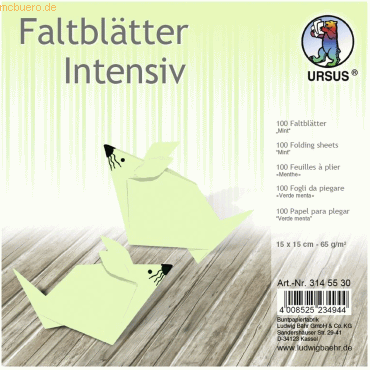 Ludwig Bähr Faltblätter Intensiv Uni 15x15cm VE=100 Blatt mint