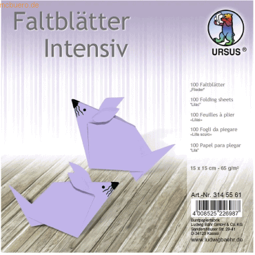 4008525226987 - Faltblätter Intensiv Uni 15x15cm VE=100 Blatt flieder
