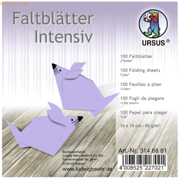 4008525227021 - Faltblätter Intensiv Uni 10x10cm VE=100 Blatt flieder