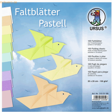 4008525220596 - Tonpapier-Faltblätter 130g qm Pastellfarben 20x20cm VE=100