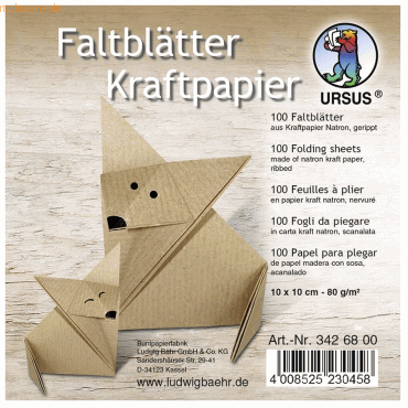 4008525230458 - Faltblätter Kraftpapier 80g qm 10x10cm VE=100 Blatt