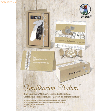 10 x Ludwig Bähr Kraftkarton Natura 250g/qm A4 4 Farben sortiert VE=16