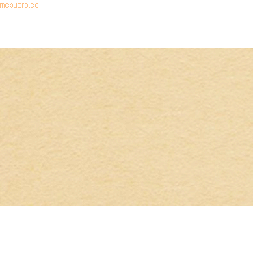 4008525183495 - Fotokarton 300g qm A4 VE=50 Blatt apricose 4008525183495 - Fotokarton 300g qm A4 VE=50 Blatt apricose