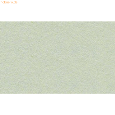 4008525184126 - Fotokarton 300g qm A4 VE=50 Blatt taubengrau