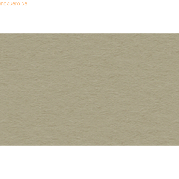 4008525209683 - 10 x Fotokarton 300g qm 70x100cm taupe 4008525209683 - 10 x Fotokarton 300g qm 70x100cm taupe