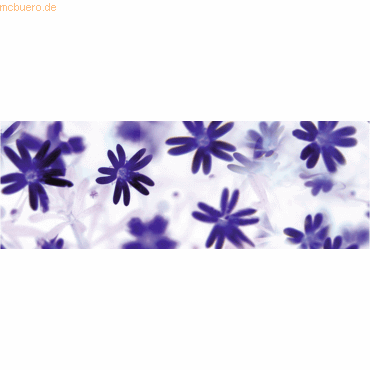 4008525677758 - 5 x Transparentpapier 115g qm A4 VE=5 Blatt Flora Blümchen 4008525677758 - 5 x Transparentpapier 115g qm A4 VE=5 Blatt Flora Blümchen