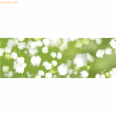 4008525677789 - 5 x Transparentpapier 115g qm A4 VE=5 Blatt Flora Maiglöck 4008525677789 - 5 x Transparentpapier 115g qm A4 VE=5 Blatt Flora Maiglöck
