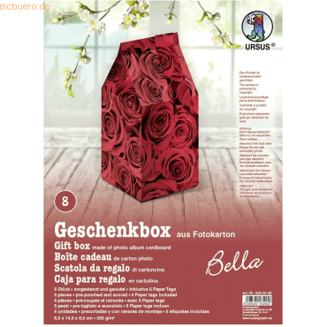 4008525162902 - Geschenkbox Bella 65x145x65cm VE=5 Stück Motiv 08