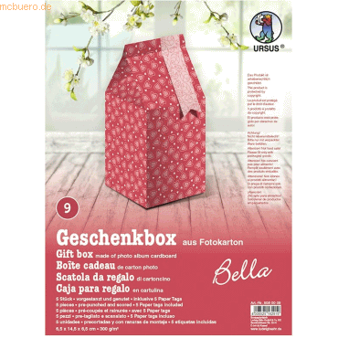 4008525162919 - Geschenkbox Bella 65x145x65cm VE=5 Stück Motiv 09