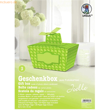 4008525149804 - Geschenkbox Joelle grün 85x45x6cm VE=5 Stück Motiv 03