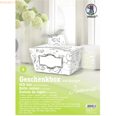 4008525149880 - Geschenkbox Joanna silber 85x45x6cm VE=5 Stück Motiv 04