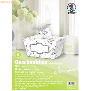 4008525149903 - Geschenkbox Joanna silber 85x45x6cm VE=5 Stück Motiv 06