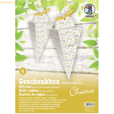 4008525147701 - Geschenkbox Chiara 75x20x75cm VE=5 Stück Motiv 06