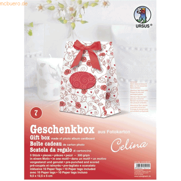 4008525151111 - Geschenkbox Celina 95x125x5cm VE=5 Stück Motiv 07