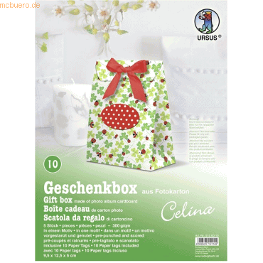 4008525151142 - Geschenkbox Celina 95x125x5cm VE=5 Stück Motiv 10