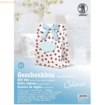 4008525151159 - Geschenkbox Celina 95x125x5cm VE=5 Stück Motiv 11