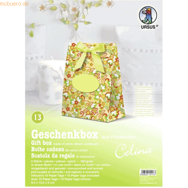 4008525151173 - Geschenkbox Celina 95x125x5cm VE=5 Stück Motiv 13