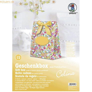 4008525151197 - Geschenkbox Celina 95x125x5cm VE=5 Stück Motiv 15