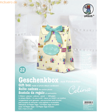 4008525151265 - Geschenkbox Celina 95x125x5cm VE=5 Stück Motiv 22