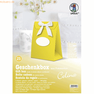 4008525151296 - Geschenkbox Celina 95x125x5cm VE=5 Stück Motiv 25