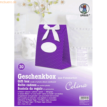 4008525151340 - Geschenkbox Celina 95x125x5cm VE=5 Stück Motiv 30